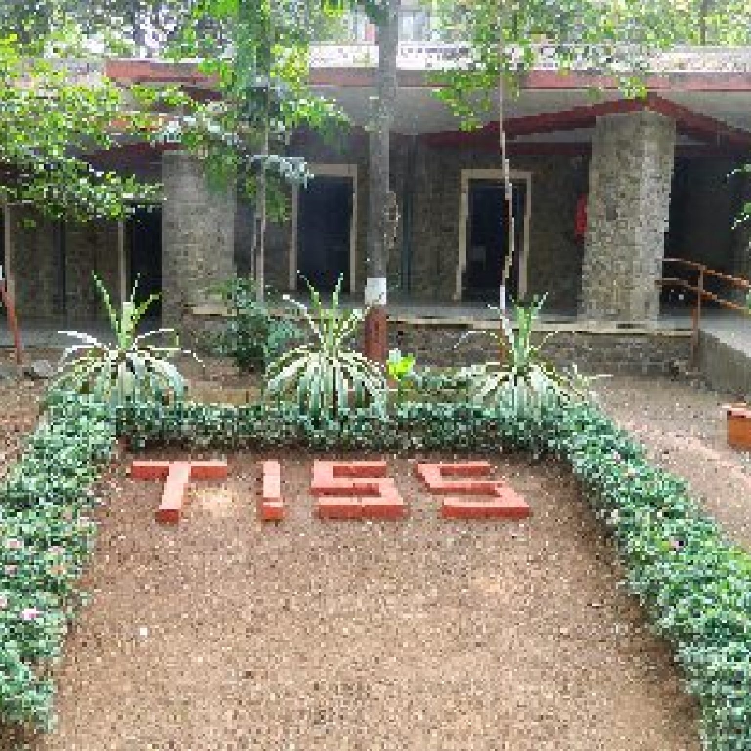 Tiss Placement