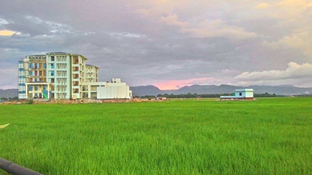 B Tech Placements – 2023 in IIITs at a glance IIITG